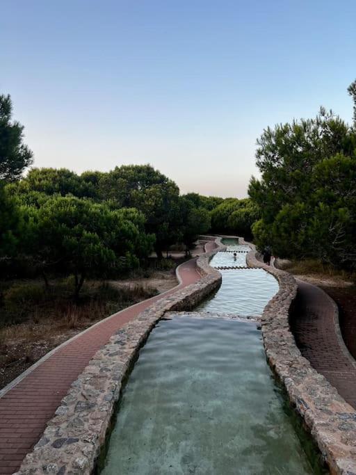 Apartament Viajeros Vinamar VII La Mata  Exterior foto